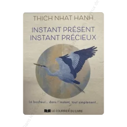 Instant Présent Instant Précieux - guidance | Dans les yeux de Gaïa