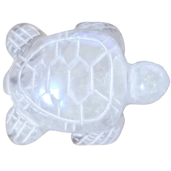 Petite tortue en Angel Aura - Spiritualité | Dans les Yeux de Gaïa
