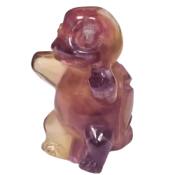 Carapuce en Fluorite -...