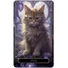 L'oracle des chats Mystiques - harmonie | Dans les yeux de GaÏa
