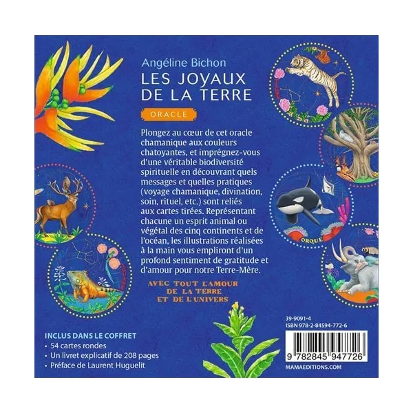 Les joyaux de la terre oracle - Angéline Bichon | Dans les yeux de Gaïa