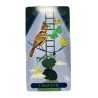 Oracle des oiseaux - guidance | Dans les yeux de Gaïa
