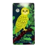 Oracle des oiseaux - Spiritualité | Dans les yeux de Gaïa