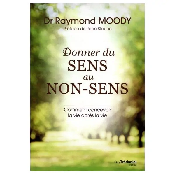 Donner du sens au non-sens - Mieux concevoir la vie après la vie