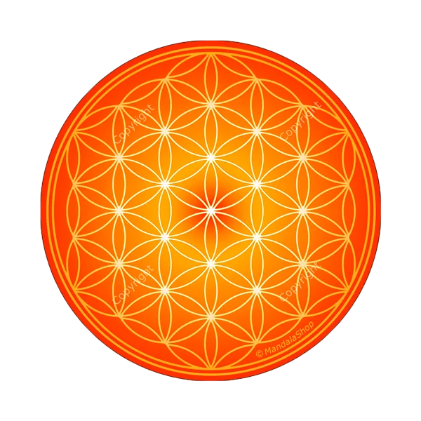 Disque Harmonisant Fleur de vie Orange | Dans les yeux de Gaïa