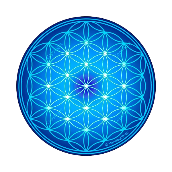 Disque Harmonisant Fleur de vie indigo | Dans les yeux de Gaïa