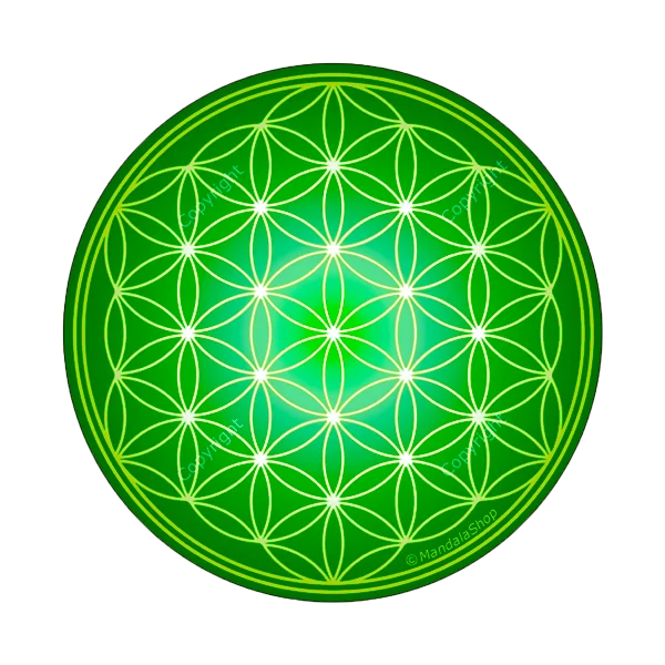 Disque Harmonisant Fleur de vie verte | Dans les yeux de Gaïa