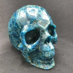 Crâne en Apatite CAp9