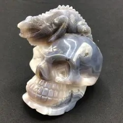 Crâne Agate Caméléon CAg5