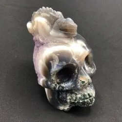 Crâne Agate Caméléon CAg8