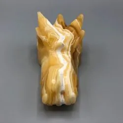 Tête de Dragon Agate Jaune | Dragons en Minéraux | Dans les yeux de Gaïa