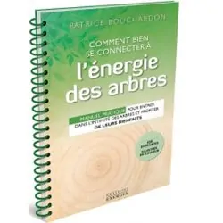 Comment bien se connecter à l'énergie des arbres | Dans les yeux de Gaïa