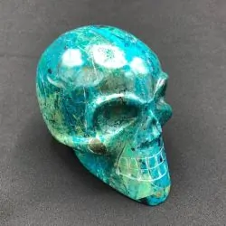 Crâne Chrysocolle PE140