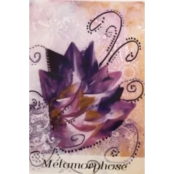 L’Horoscope des fleurs...