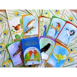 l'Oracle des Oiseaux