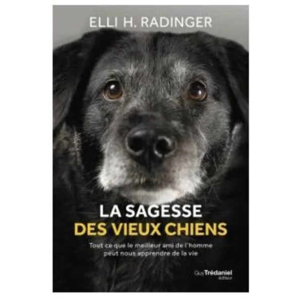 La Sagesse des Vieux Chiens | Livres sur les Animaux | Dans les yeux de Gaïa