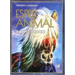 Esprit Animal Cartes Oracles - Coffret de face | Dans les Yeux de Gaïa