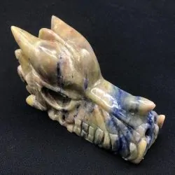 Tête de Dragon Sodalite TD353