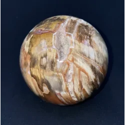 Sphère en Bois Fossile -4 | Sphères, Oeufs, et Coeurs | Dans les yeux de Gaïa