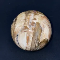 Sphère en Bois Fossile SBF1