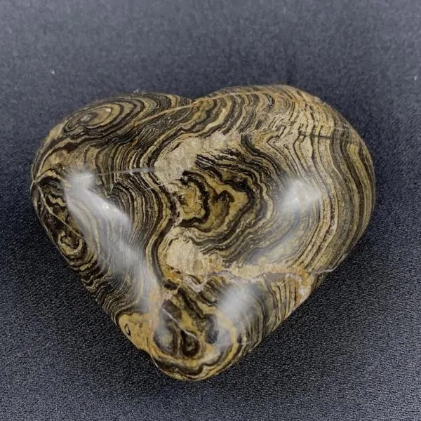 Coeur en Stromatolite -10| Sphères, Oeufs, et Coeurs | Dans les yeux de Gaïa