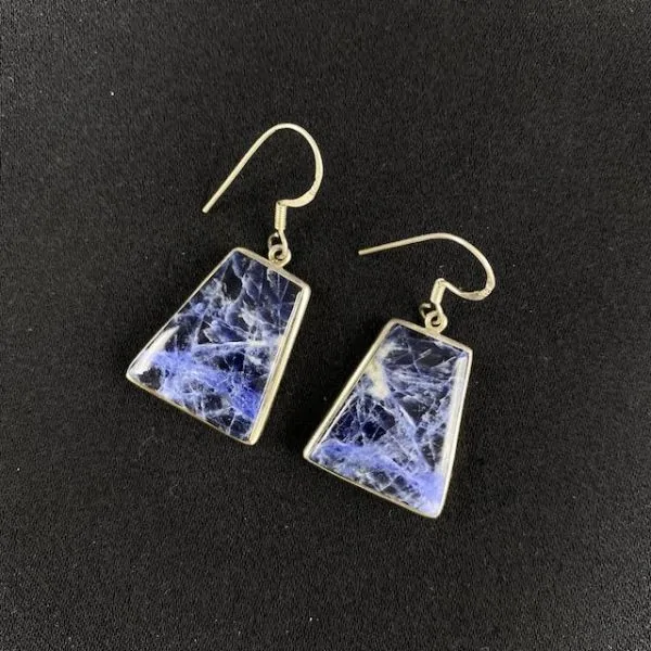 Boucles d'oreilles en Sodalite montées sur Argent, photo 1 | Dans les Yeux de Gaia