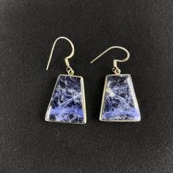 Boucles d'oreilles en Sodalite montées sur Argent, photo 2 | Dans les Yeux de Gaia