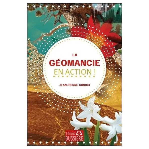 La Géomancie en action - 1ère page de couverture