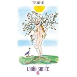 Tarot coach
