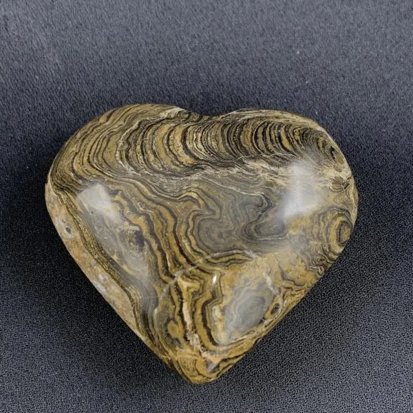 Coeur en Stromatolite -7| Sphères, Oeufs, et Coeurs | Dans les yeux de Gaïa