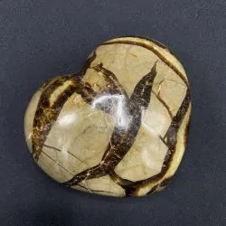 Coeur en Septaria CS2