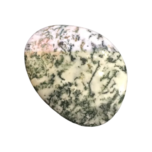 Galet Agate Mousse - Lithothérapie |Dans les Yeux de Gaïa