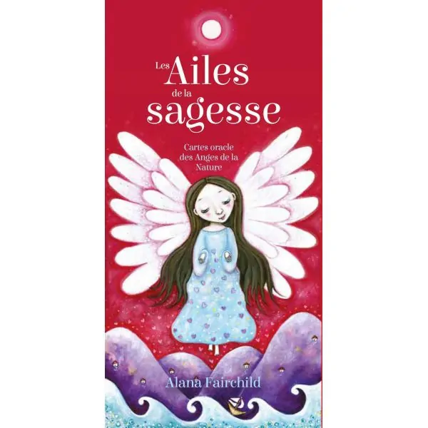 Les Ailes de la sagesse — Alana Fairchild - Coffret de face | Dans les Yeux de Gaïa