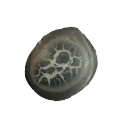 Septaria brute du Maroc, photo 1 | Dans les Yeux de Gaia