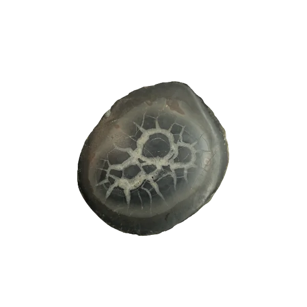 Septaria brute du Maroc, photo 1 | Dans les Yeux de Gaia
