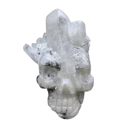 crâne en cristal de roche, face 1 | Dans les Yeux de Gaia