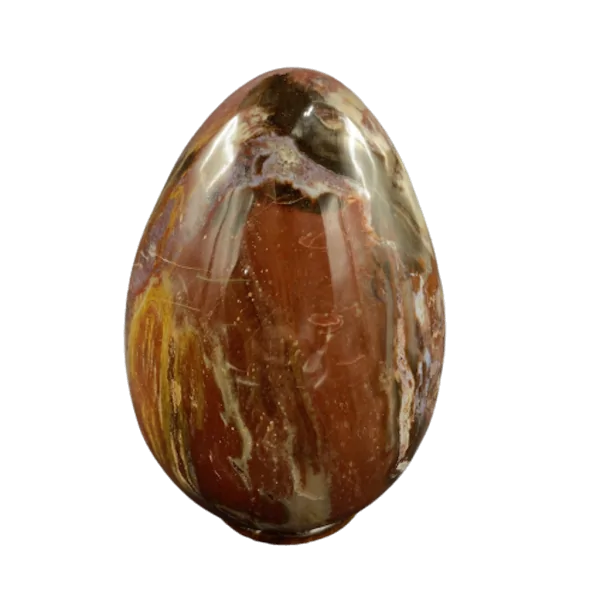 Oeuf en Bois Fossile -2| Sphères, Oeufs, et Coeurs | Dans les yeux de Gaïa