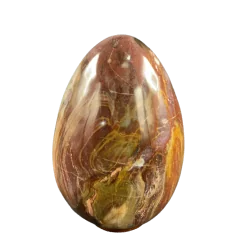 Oeuf en Bois Fossile -2| Sphères, Oeufs, et Coeurs | Dans les yeux de Gaïa