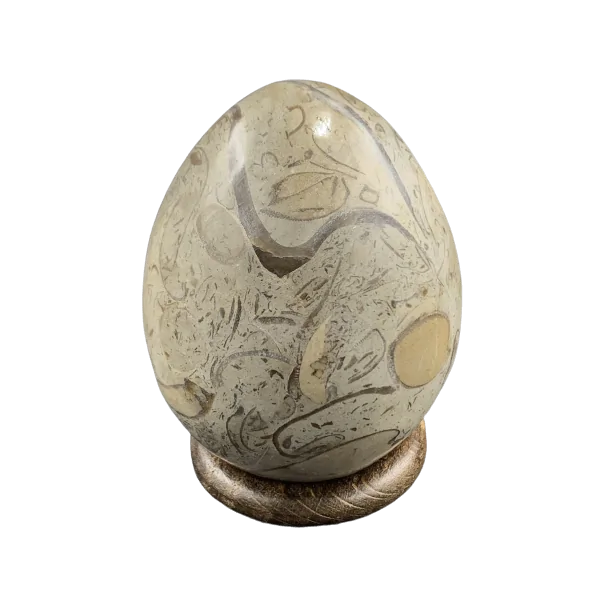 Oeuf Fossile du Maroc | Sphères, Oeufs, et Coeurs | Dans les yeux de Gaïa