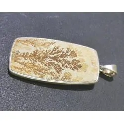 Pendentif Fossile serti...