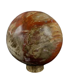 Sphère en Bois Fossile -3 | Sphères, Oeufs, et Coeurs | Dans les yeux de Gaïa
