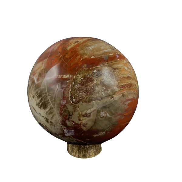 Sphère en Bois Fossile -3 | Sphères, Oeufs, et Coeurs | Dans les yeux de Gaïa