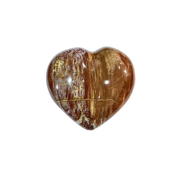 Coeur en Bois Fossile | Sphères, Oeufs, et Coeurs | Dans les yeux de Gaïa