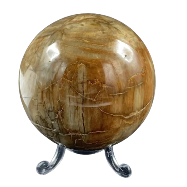 Sphère en Bois Fossile -2| Sphères, Oeufs, et Coeurs | Dans les yeux de Gaïa
