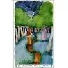 Tarot de la Transformation - Coffret