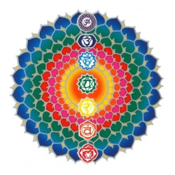 Autocollant Attrape Soleil : 7 Chakras fleur | Dans les yeux de Gaïa