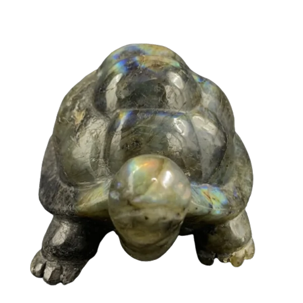 Tortue en Labradorite -1| Sculptures, Statues, Figurines | Dans les yeux de Gaïa