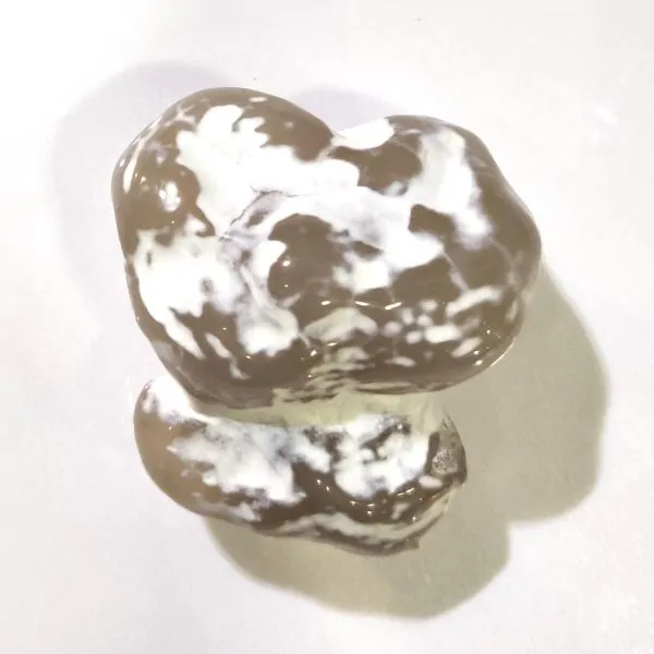 Agate Serpent brute -1 | Minéraux de collection | Dans les yeux de Gaïa
