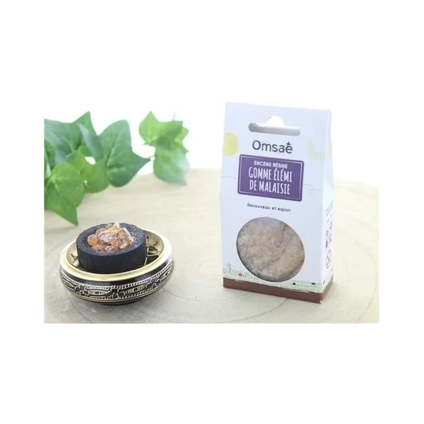 Gomme Élémi de Malaisie | Dans les Yeux de Gaïa 1