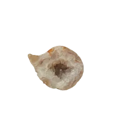 Petite Géode d'Agate